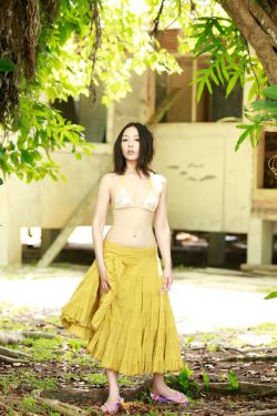 一树桃花开演员表