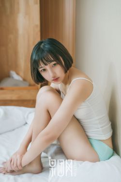 新梅金瓶