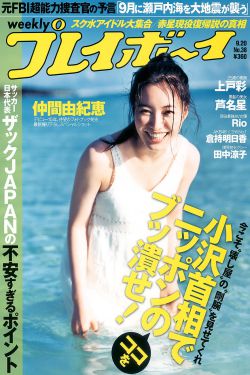 神圣使命24集全集免费观看