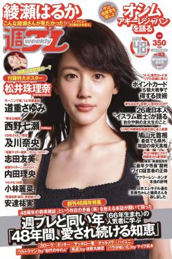 东盛集团