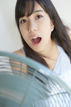 法国啄木鸟系列电影